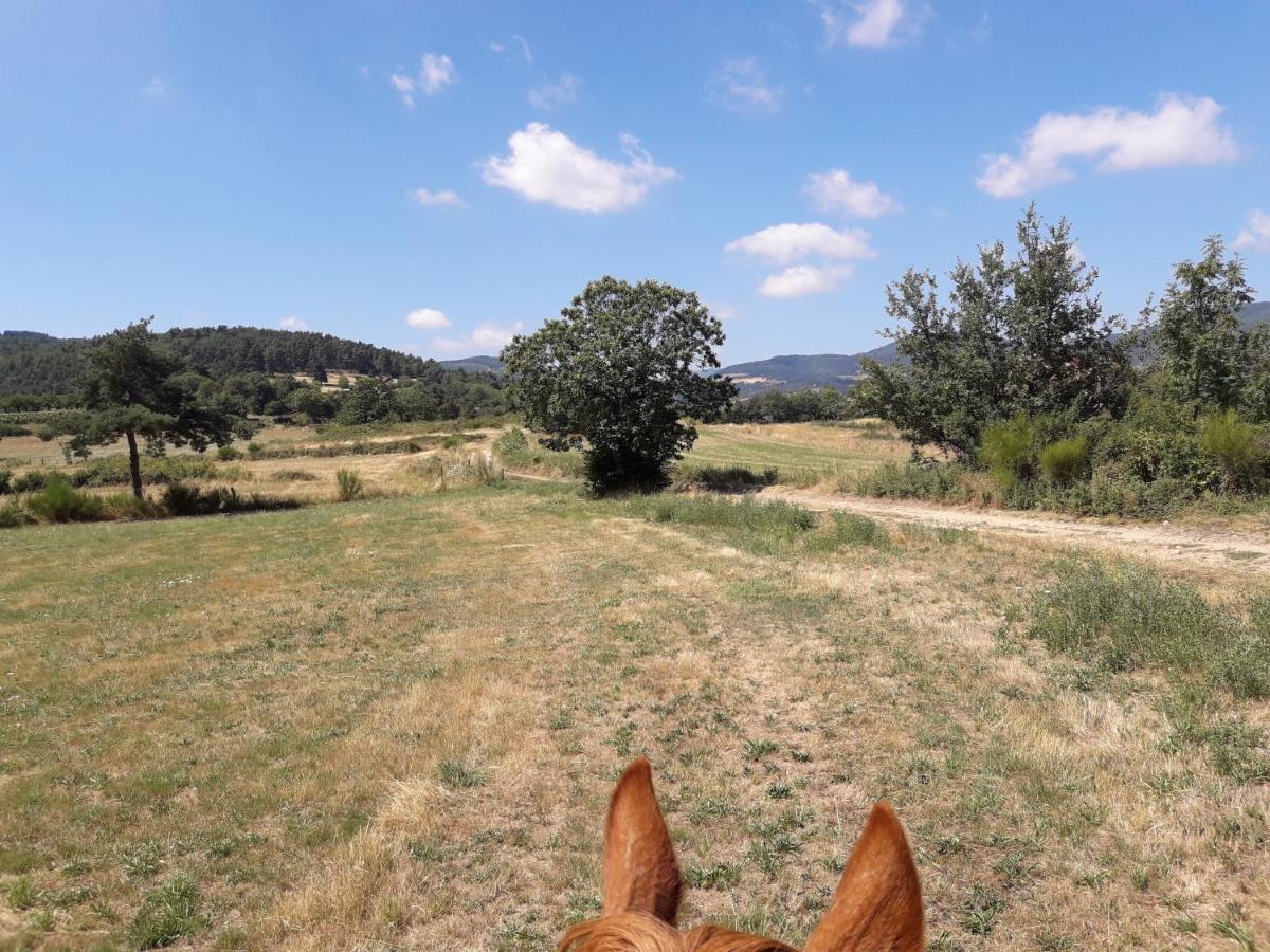 Ferme De La Combe Bed & Breakfast