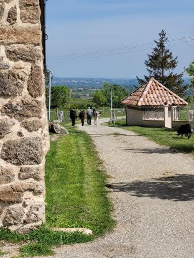 Ferme De La Combe * Saint-Jeure-d'Ay